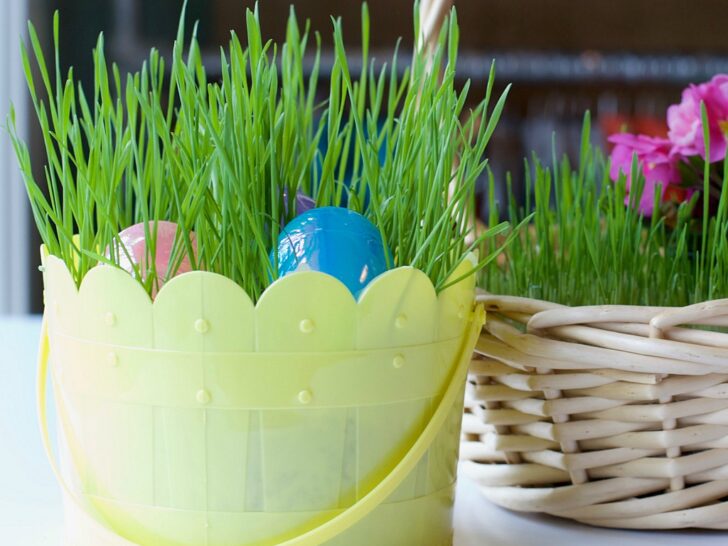 Grow a Living Easter Basket