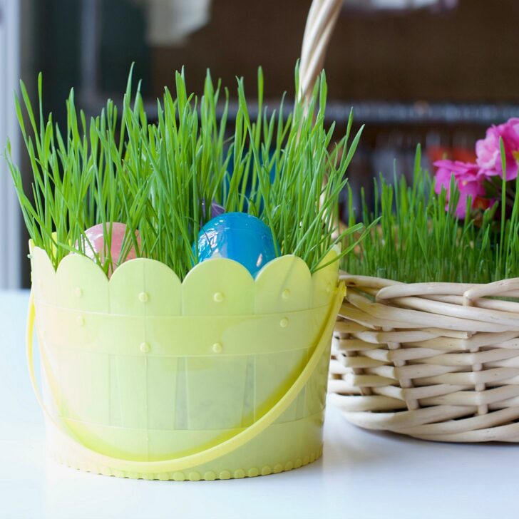 Grow a Living Easter Basket - Project Nursery