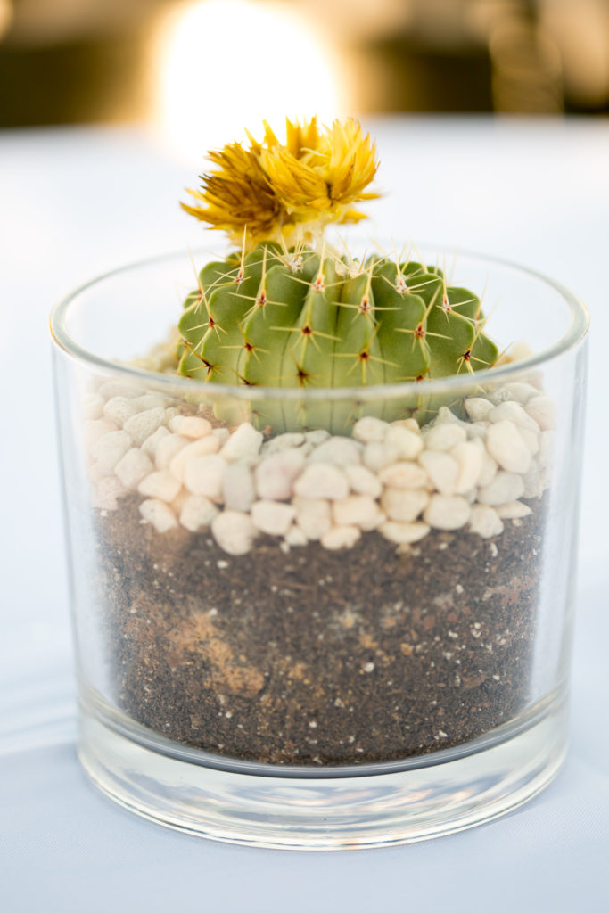 Modern Texas Themed First Birthday Party Tabletop Decor