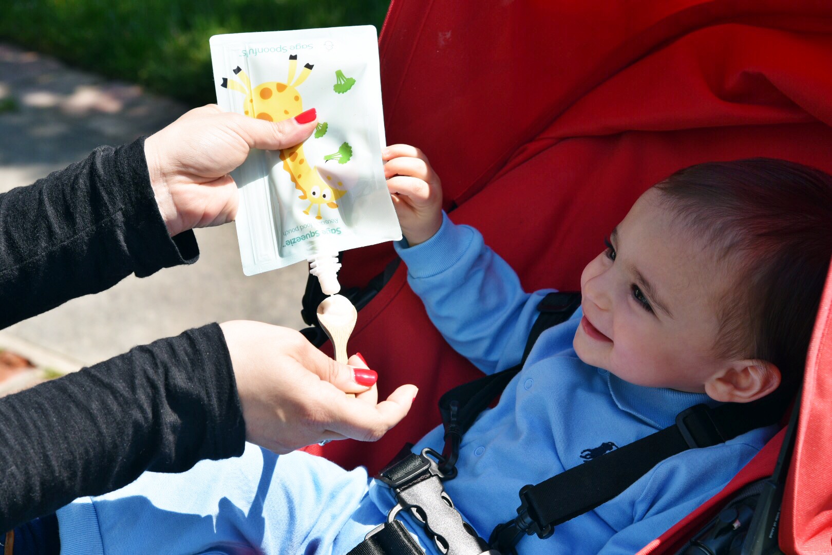 Sage Spoonfuls Reusable Baby Food Pouches