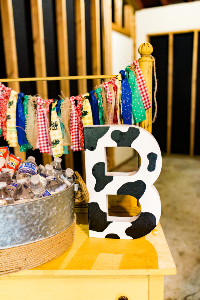 Barnyard Birthday Bash Decor - Project Nursery