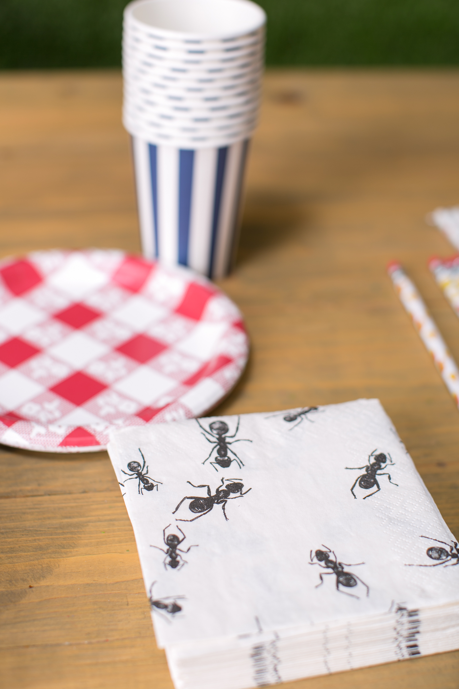 Gingham Paper Plates and Ant Print Napkins