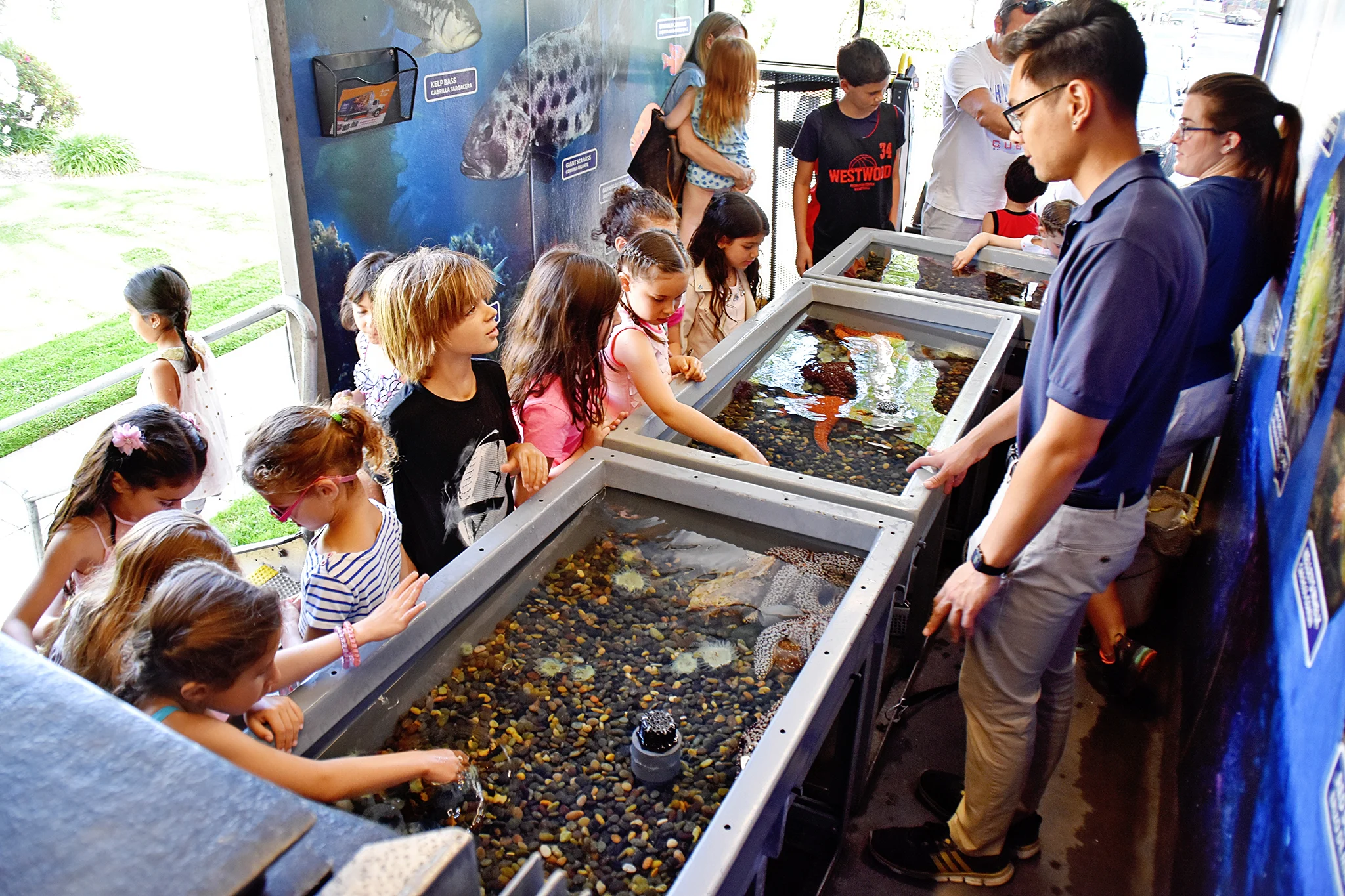Aquarium of the Pacific - Mobile Touch Tank at our Under the Sea party!