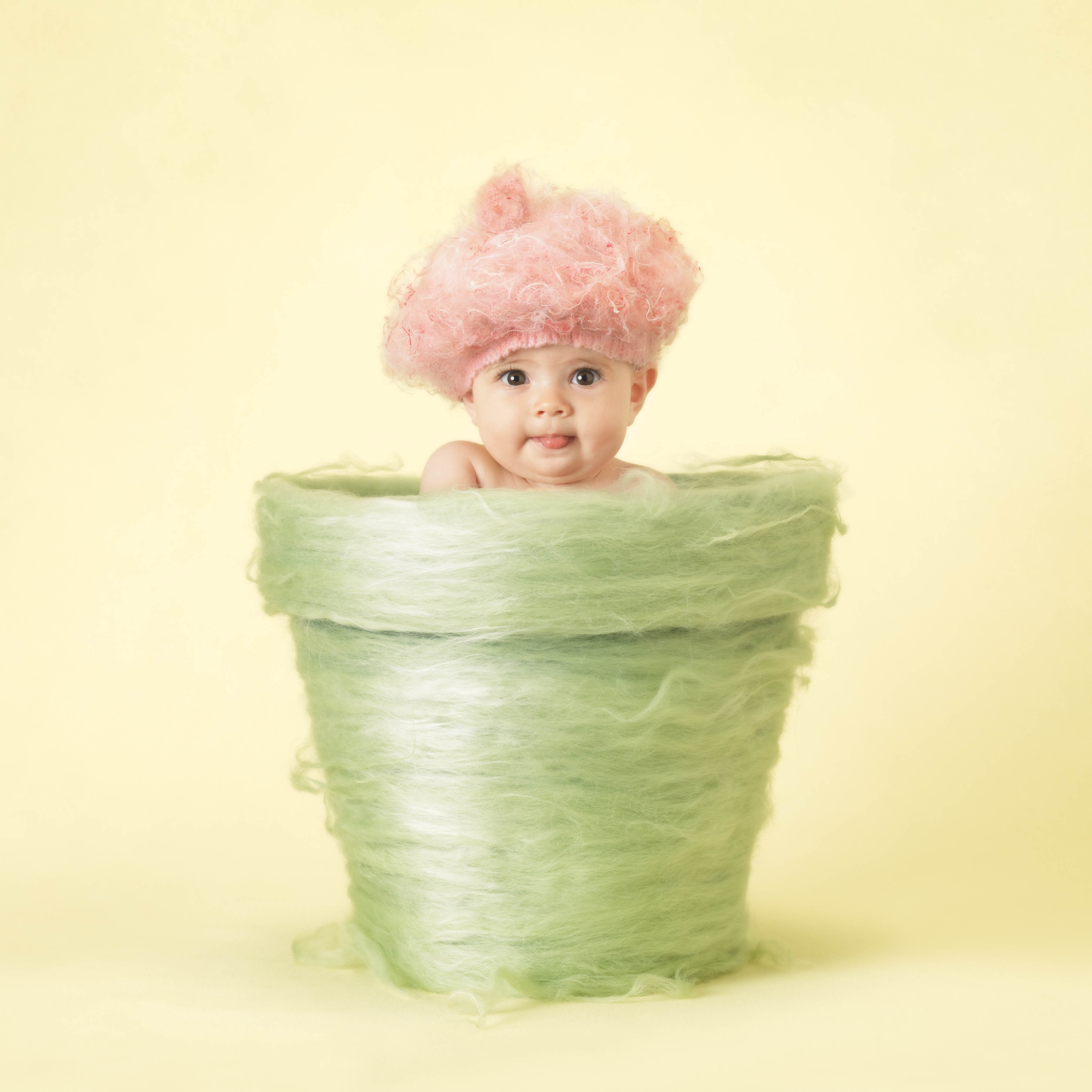 Anne Geddes Baby Portrait in Flower Pot