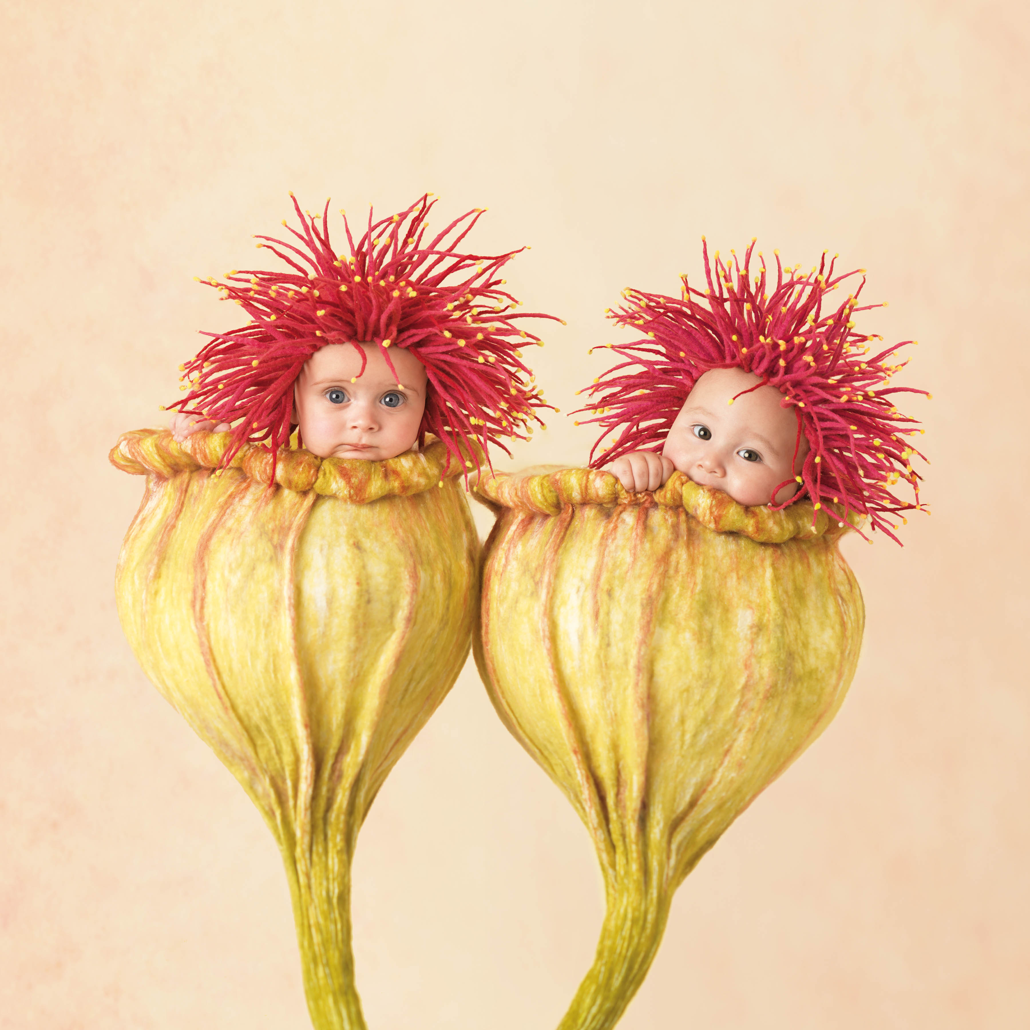 Anne Geddes Baby Portrait