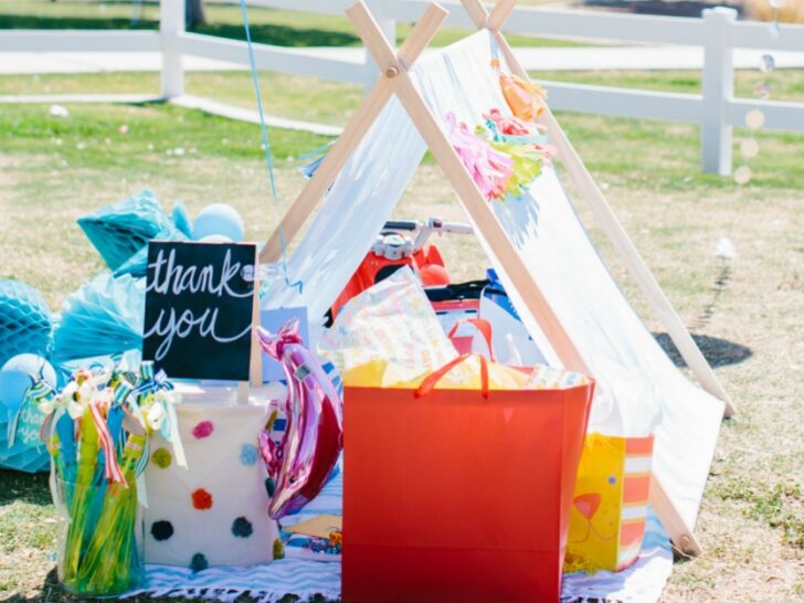 A First Birthday Party Picnic in the Park