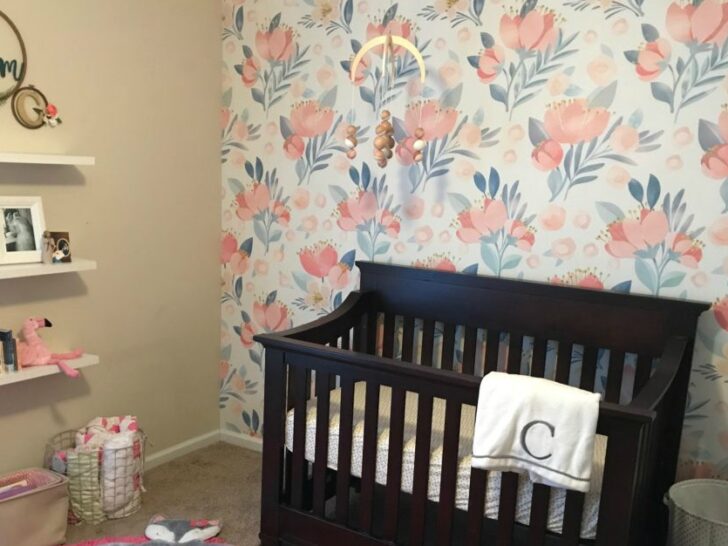 Coral Baby Girl's Nursery - Project Nursery