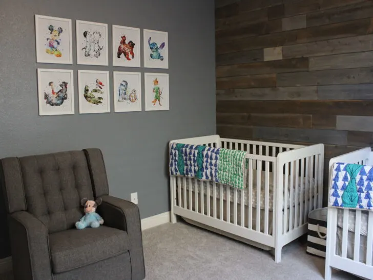 Modern Disney Twin Nursery