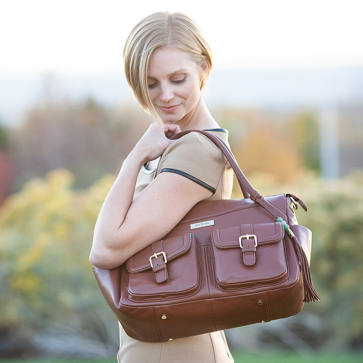 Lily Jade Elizabeth Bag in Brandy