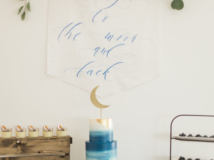 An Indigo Baby Boy Shower