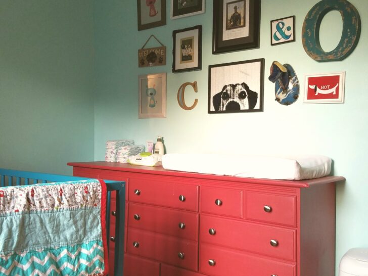 Teal and Red Puppy Nursery