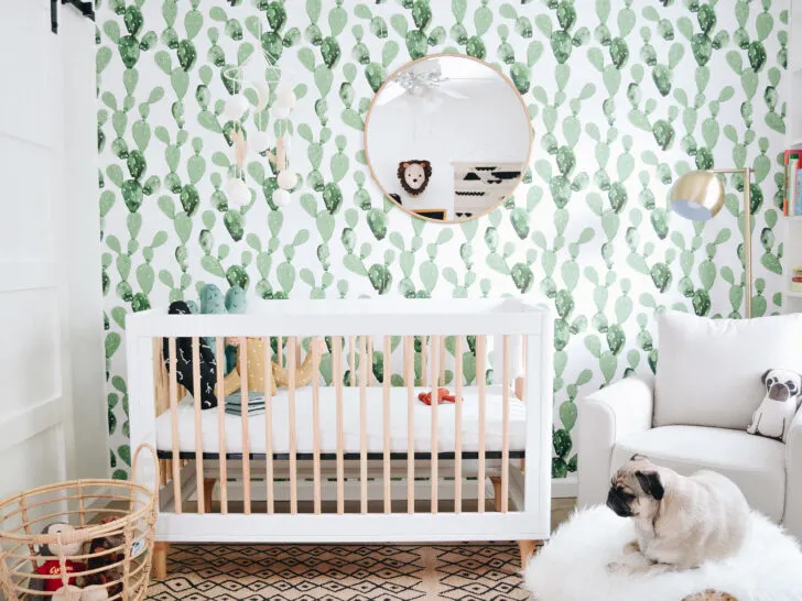 Cactus Boho Modern Nursery