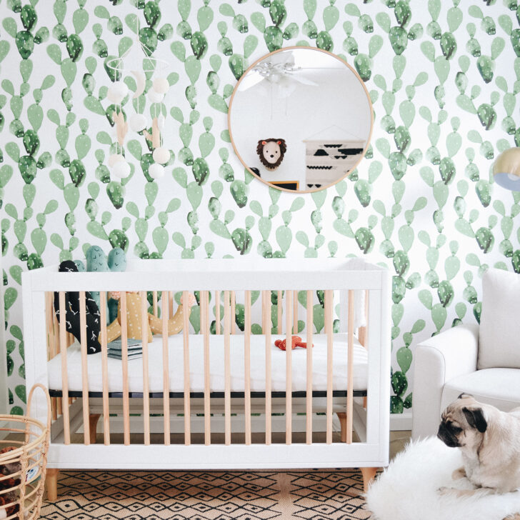 Cactus Boho Modern Nursery