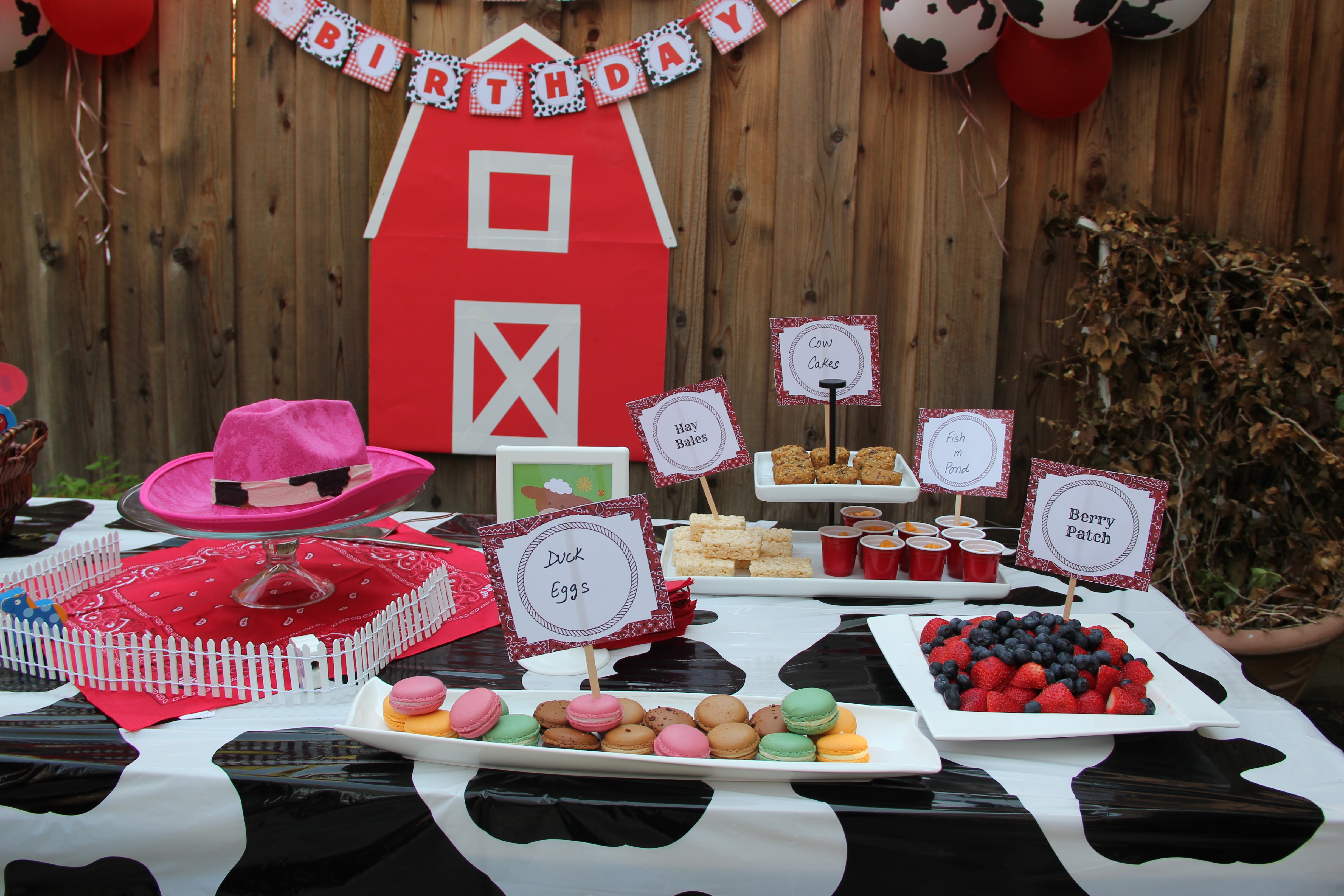 Barnyard Party - Cowgirl Turns 2 - Project Nursery