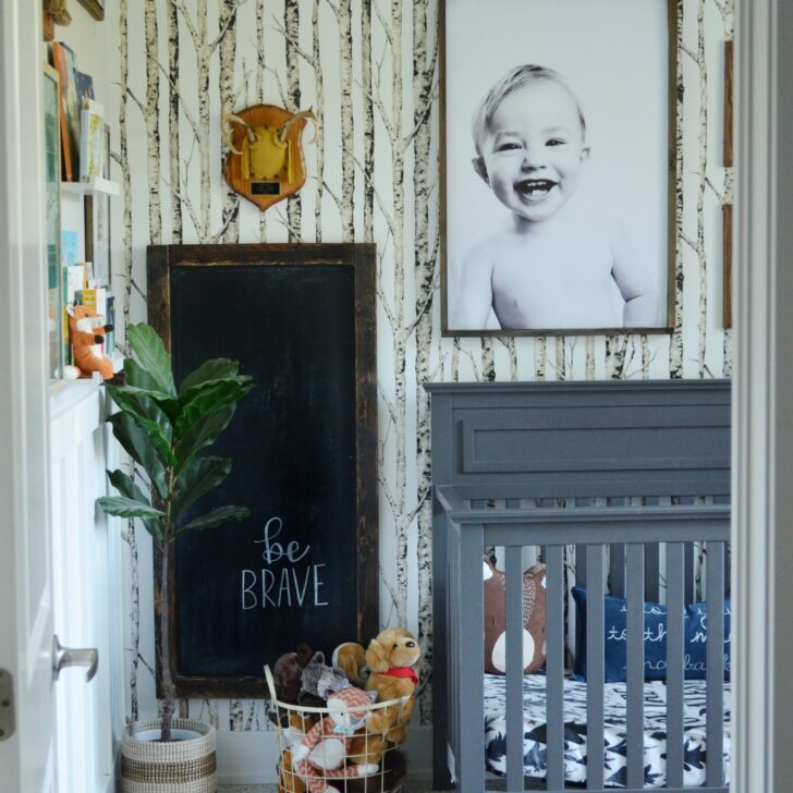Woodsy Toddler Room