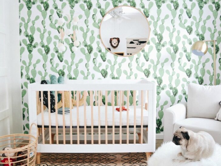 Hero Llewyn’s Cactus Boho Modern Nursery