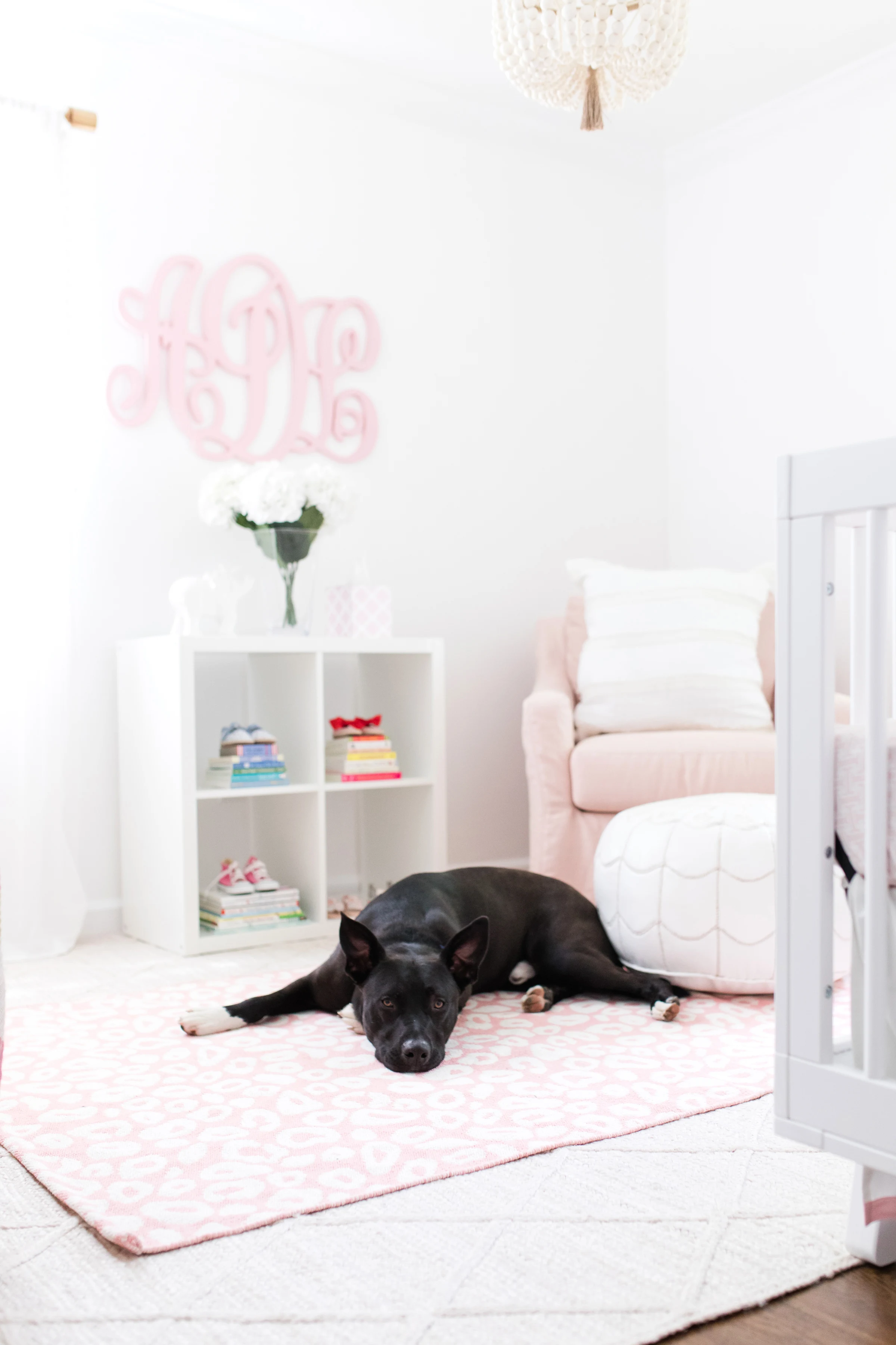 Dog in Pink Nursery - Project Nursery