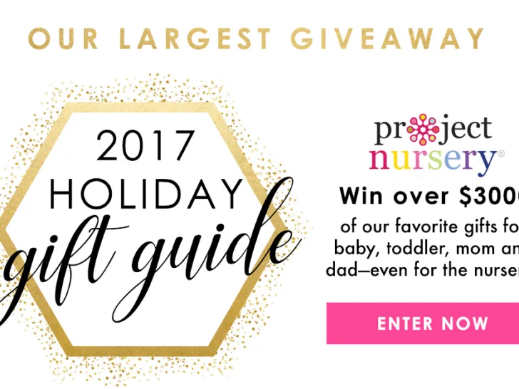 2017 Holiday Gift Guide and Giveaway