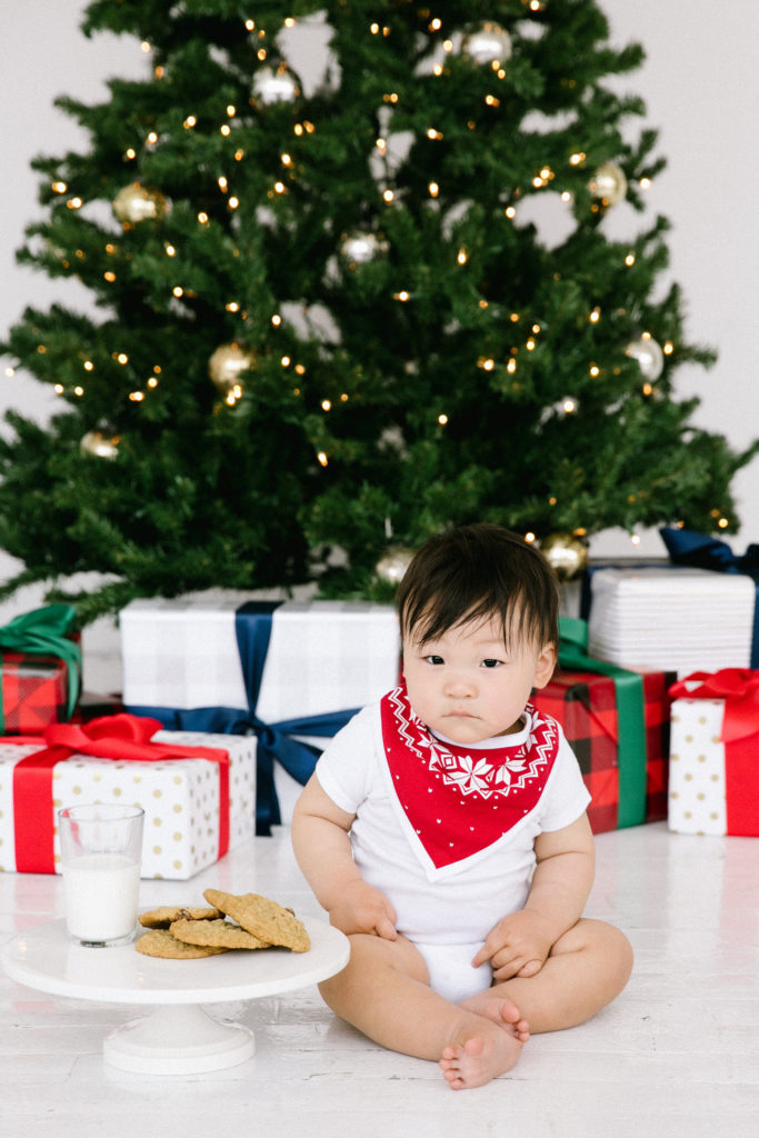 Ugly Christmas Sweater Bib