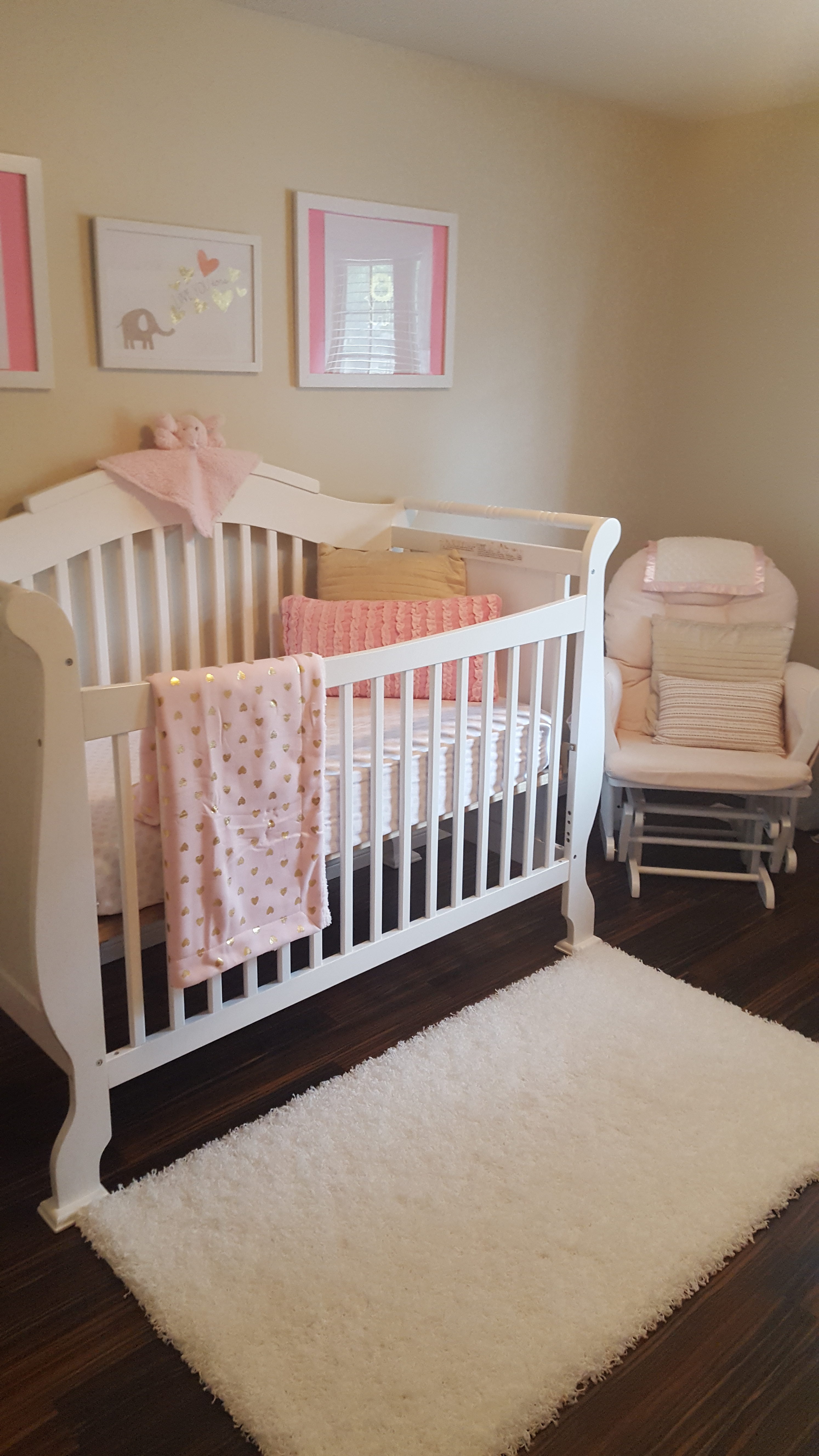 Brynn's Nursery - Project Nursery