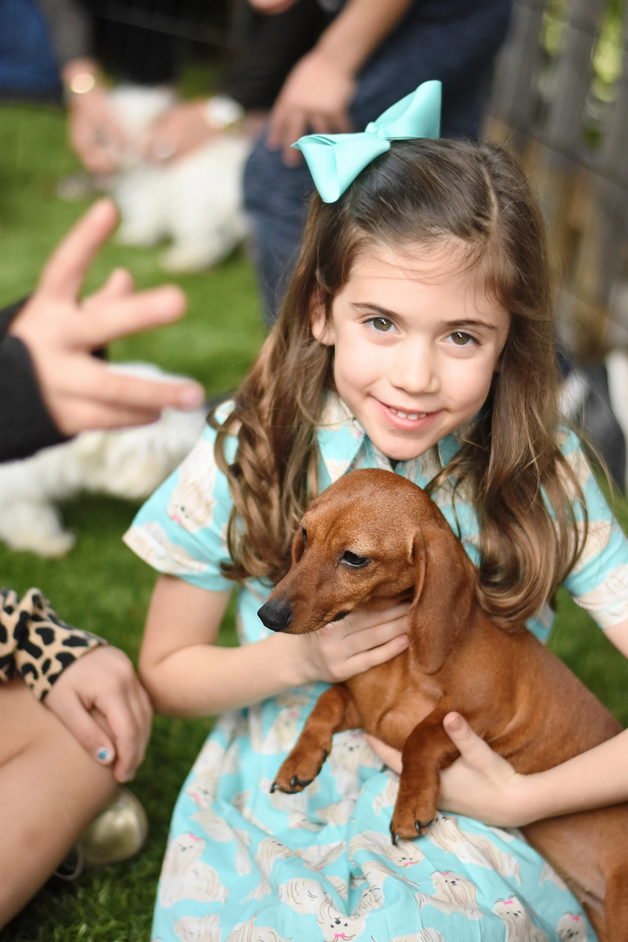 Ariella's 6th Birthday - A Puppy and Kitten Paw-ty!