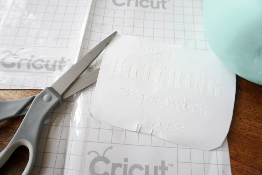 Project Nursery Cricut Egg Hatching Announcement-01688