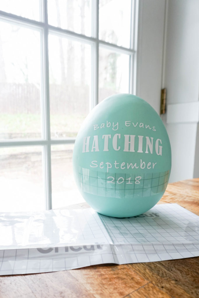 Project Nursery Cricut Egg Hatching Announcement-01706