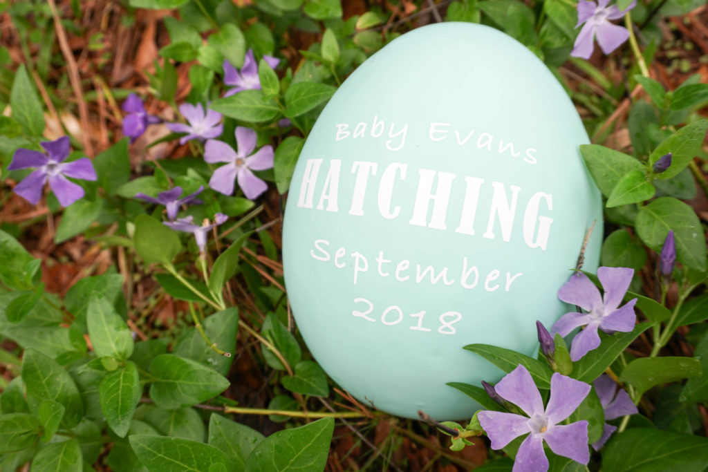 ready-to-hatch-check-out-this-diy-pregnancy-announcement-project-nursery