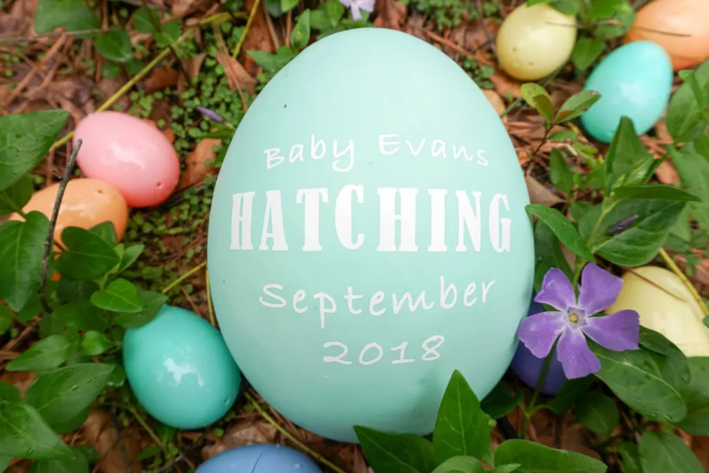 DIY Egg Pregnancy Announcement