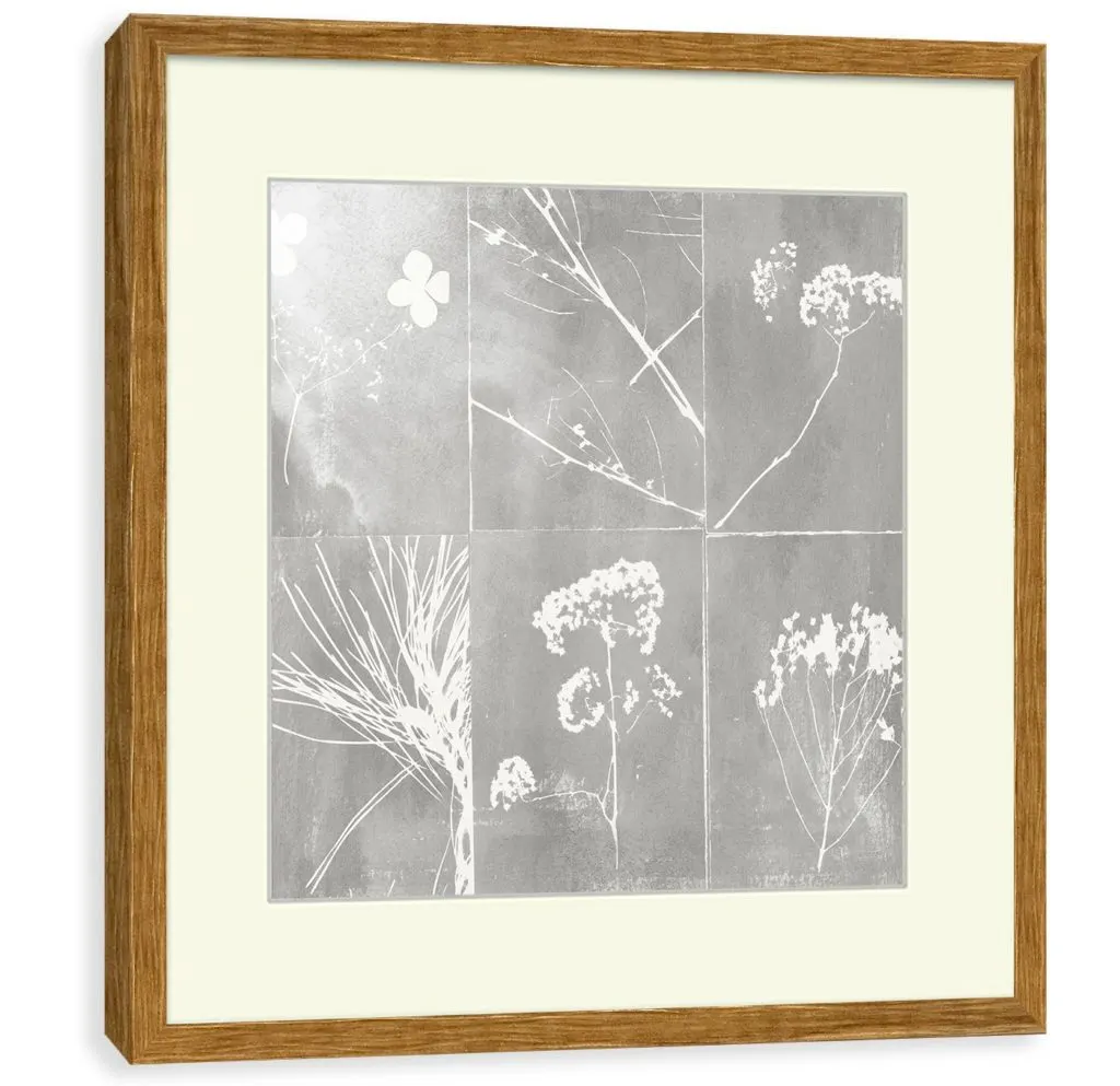 Target Floral Botanical Wall Art