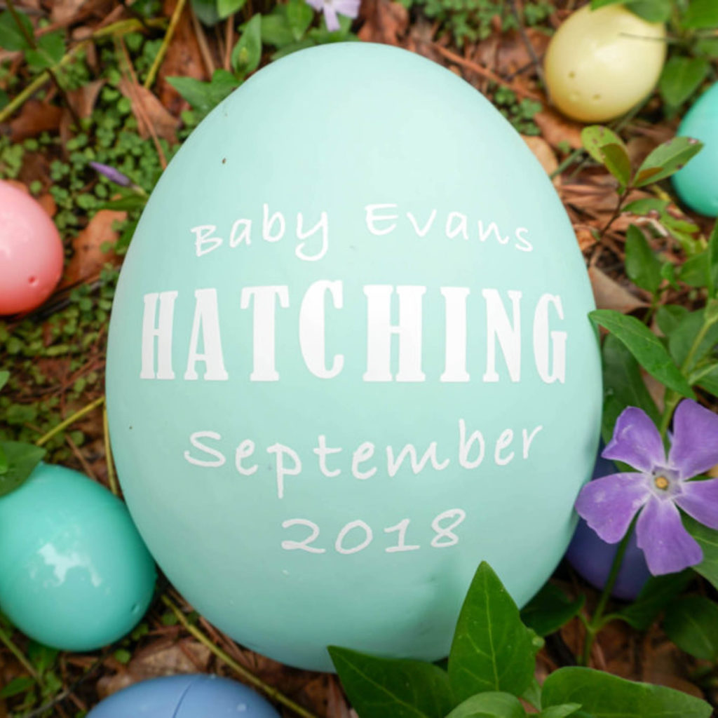 blog Project-Nursery-Cricut-Egg-Hatching-Announcement-01752-1024x683
