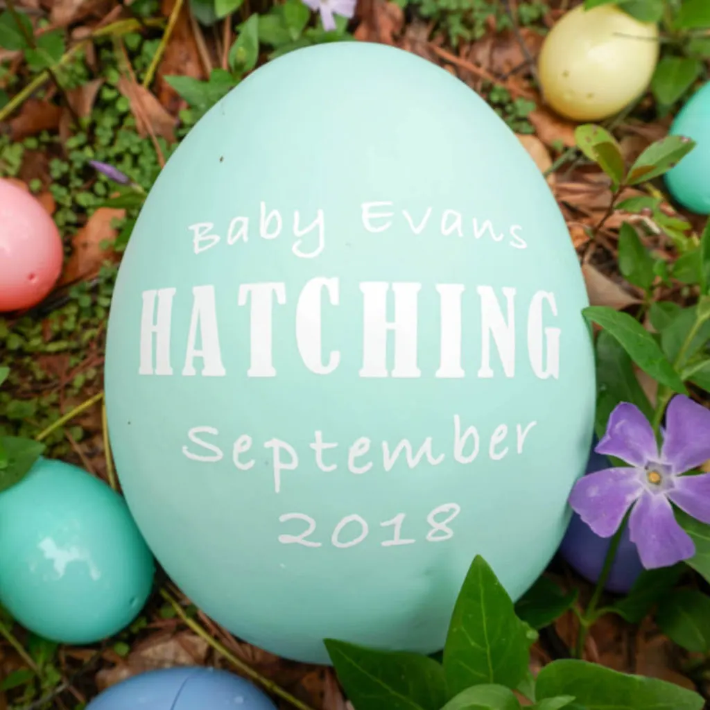 blog Project-Nursery-Cricut-Egg-Hatching-Announcement-01752-1024x683