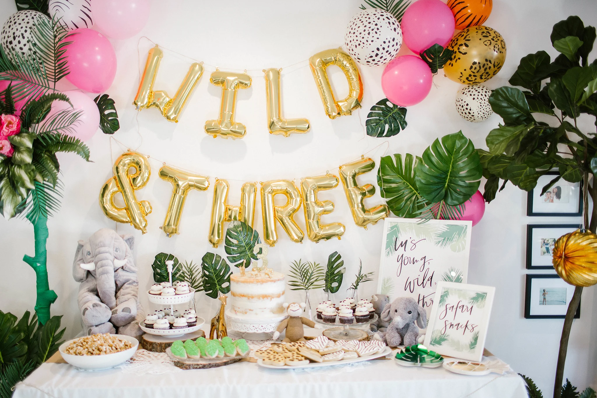 Wild and Three Birthday Party