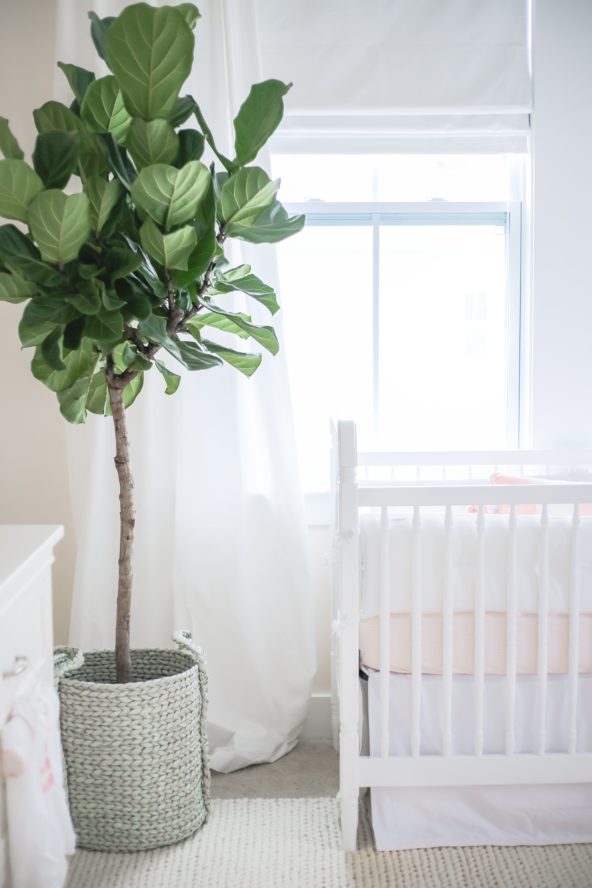 Holy City Chic Classic and Serene Girl's Nursery