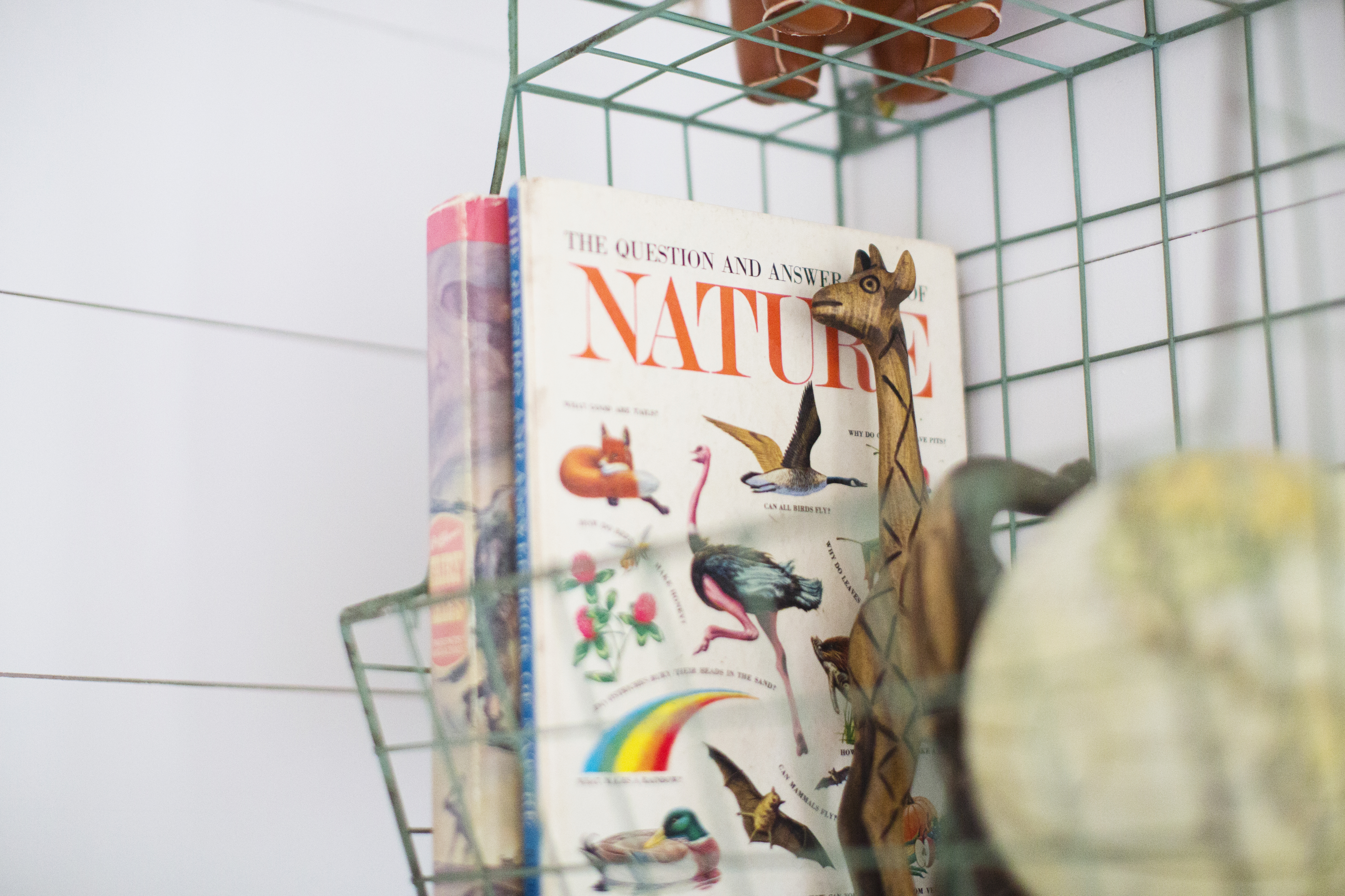 Gender Neutral Shiplap Mint Nursery by Amanda Macy Hall 067