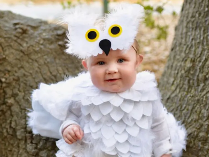 Owl Halloween Costume