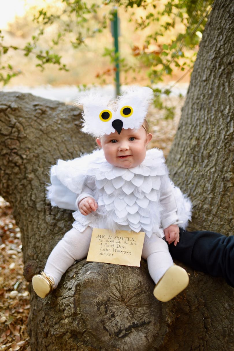 Hedwig Baby Owl Costume from Make Life Lovely 
