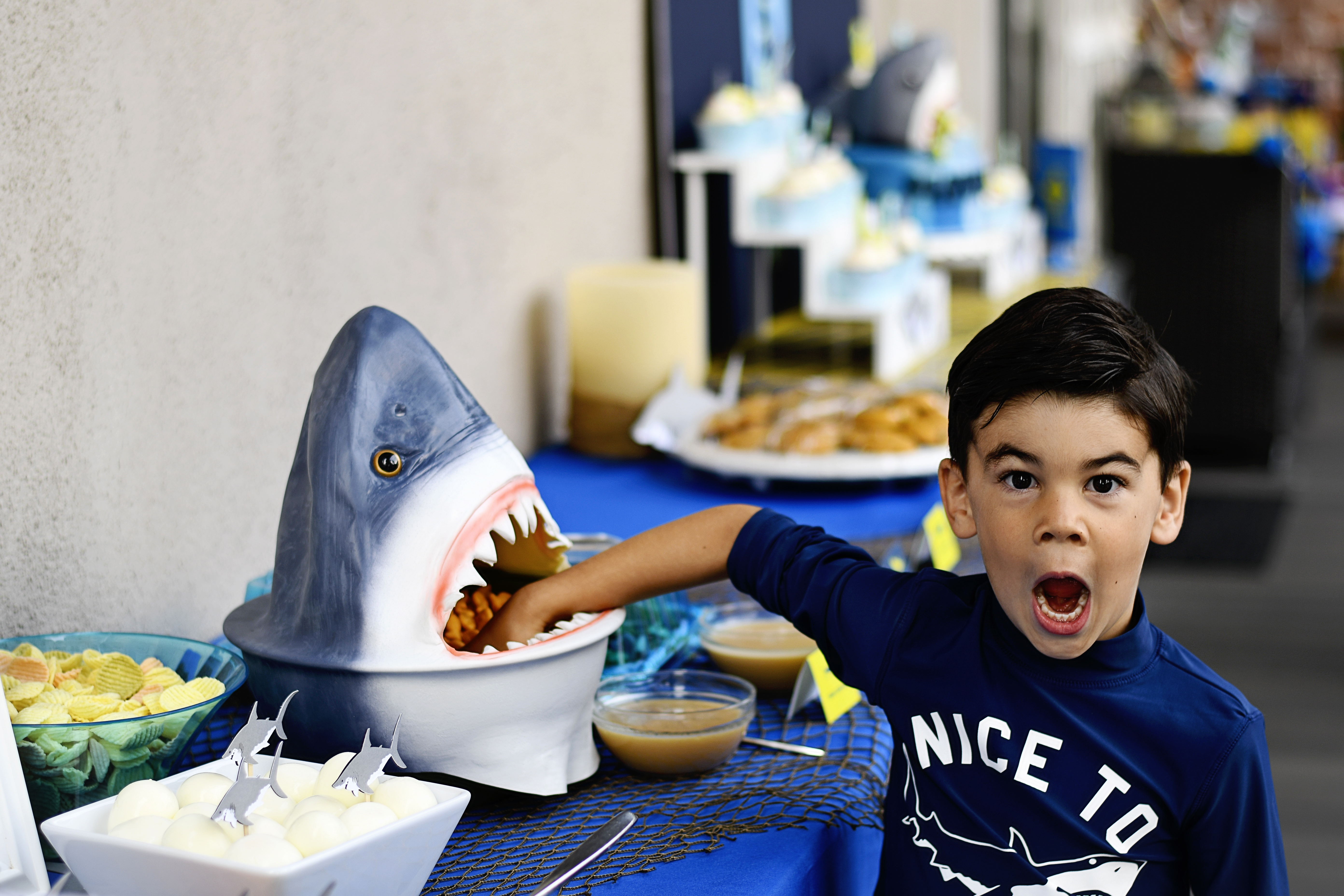 throw a fin-tastic shark birthday party!