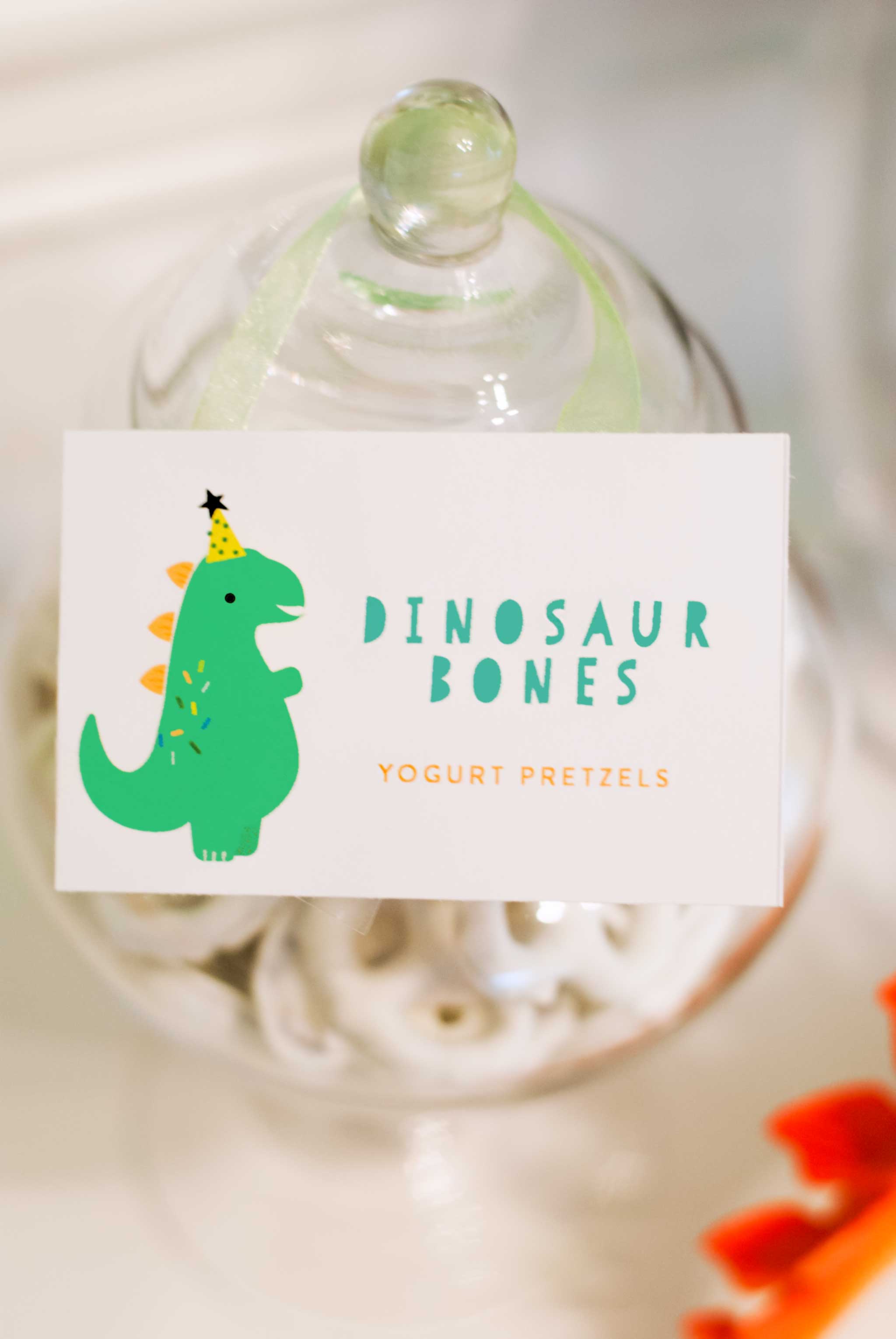 Dinosaur Birthday Party Ideas