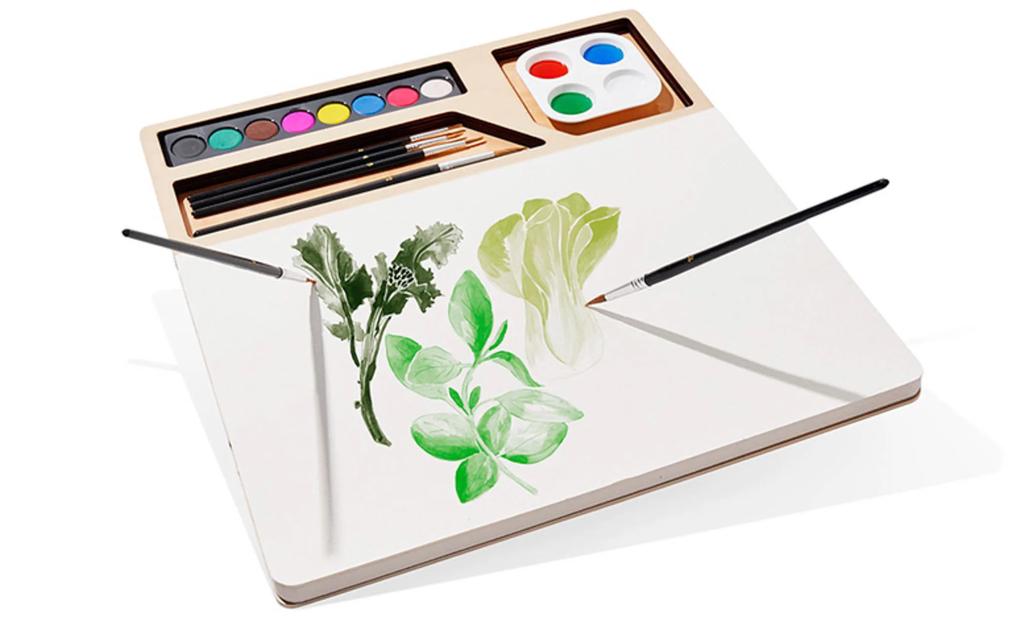 Watercolor Set