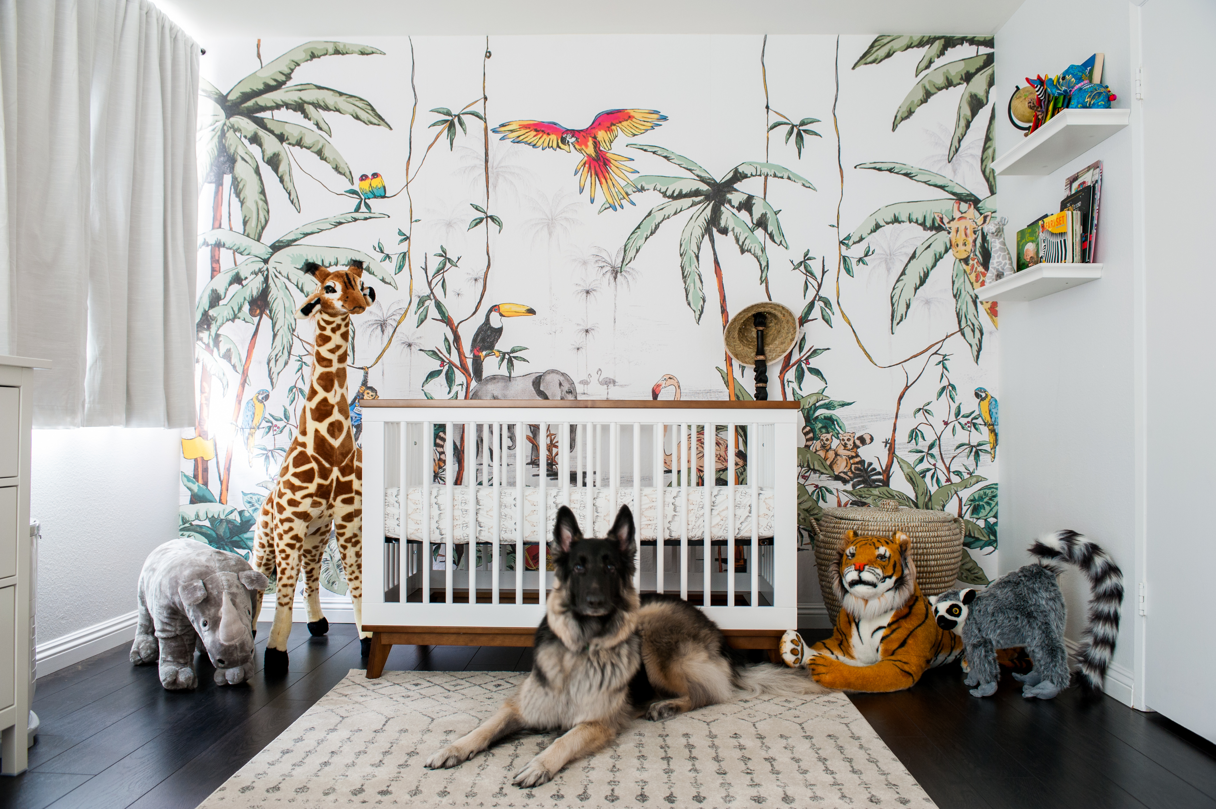 jungle nursery baby room