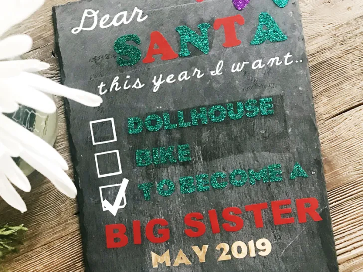 Big Sister Pregnancy Announcement