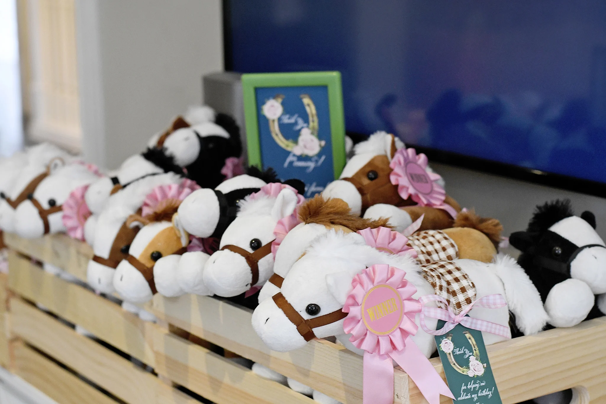 Plush horses served as party favors!