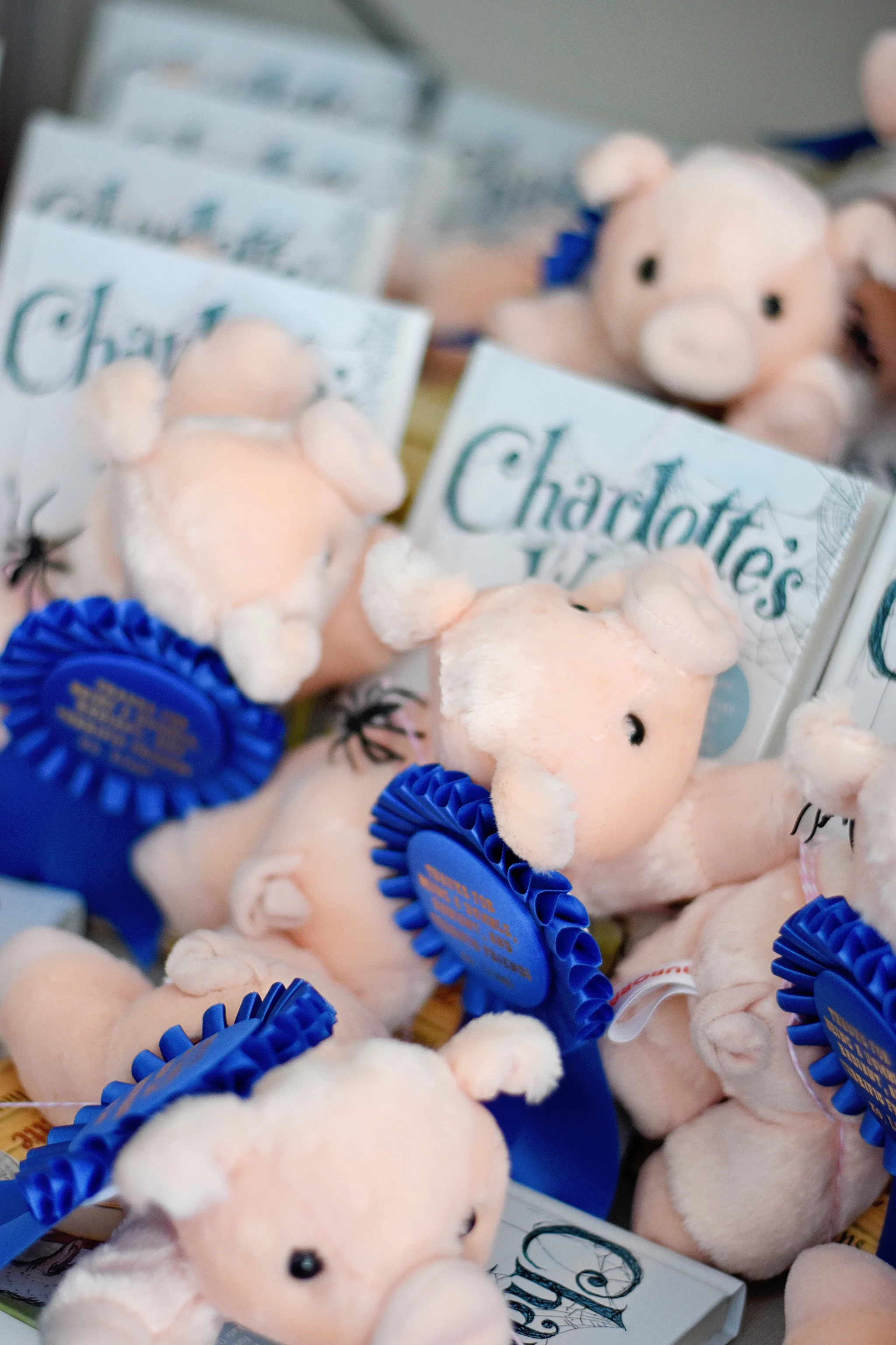 Charlotte's Web Party Favors: Plush Wilbur and a copy of the book!