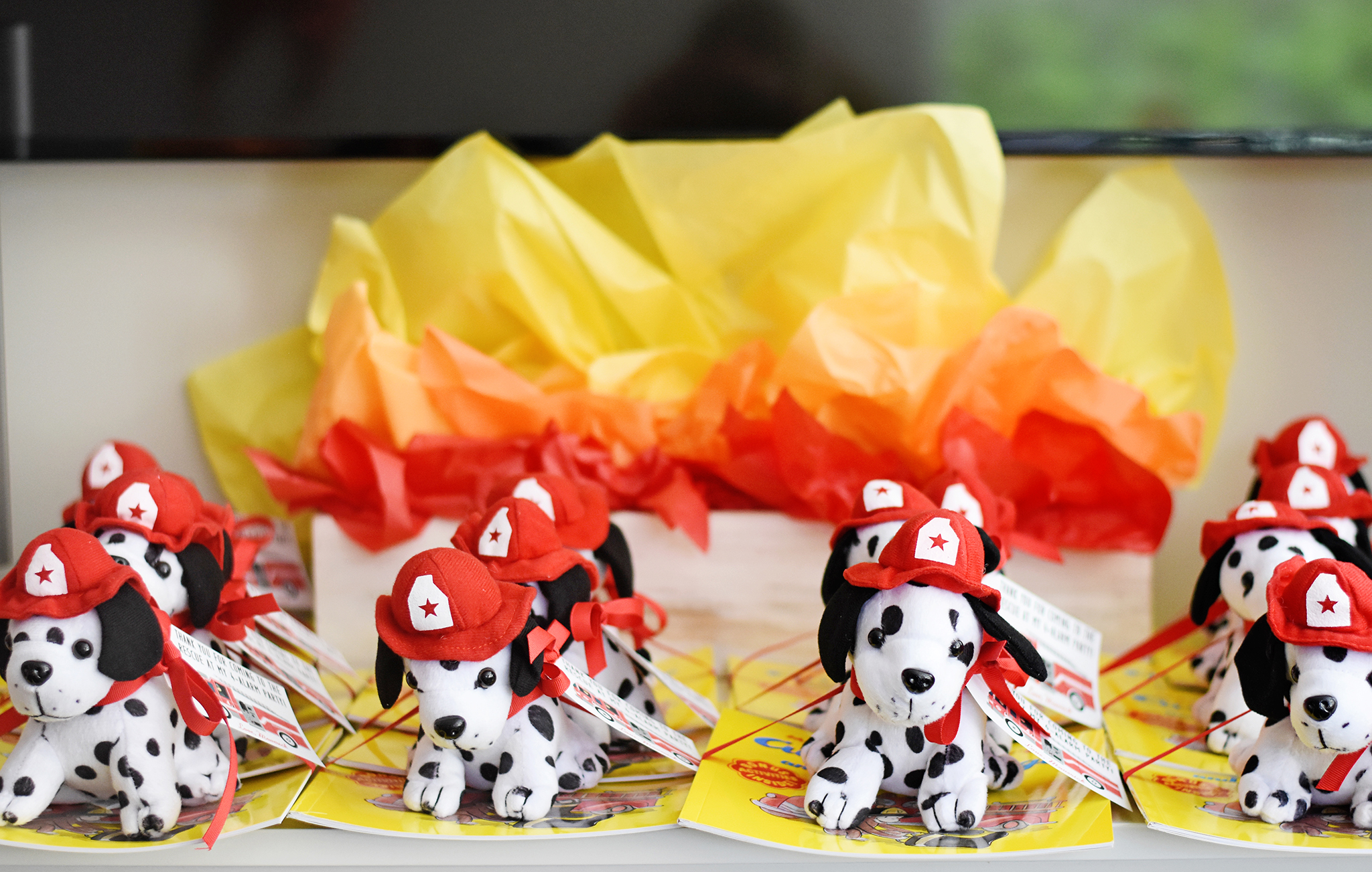 Fire Truck Party Favors - Dalmatian Puppies and Books!