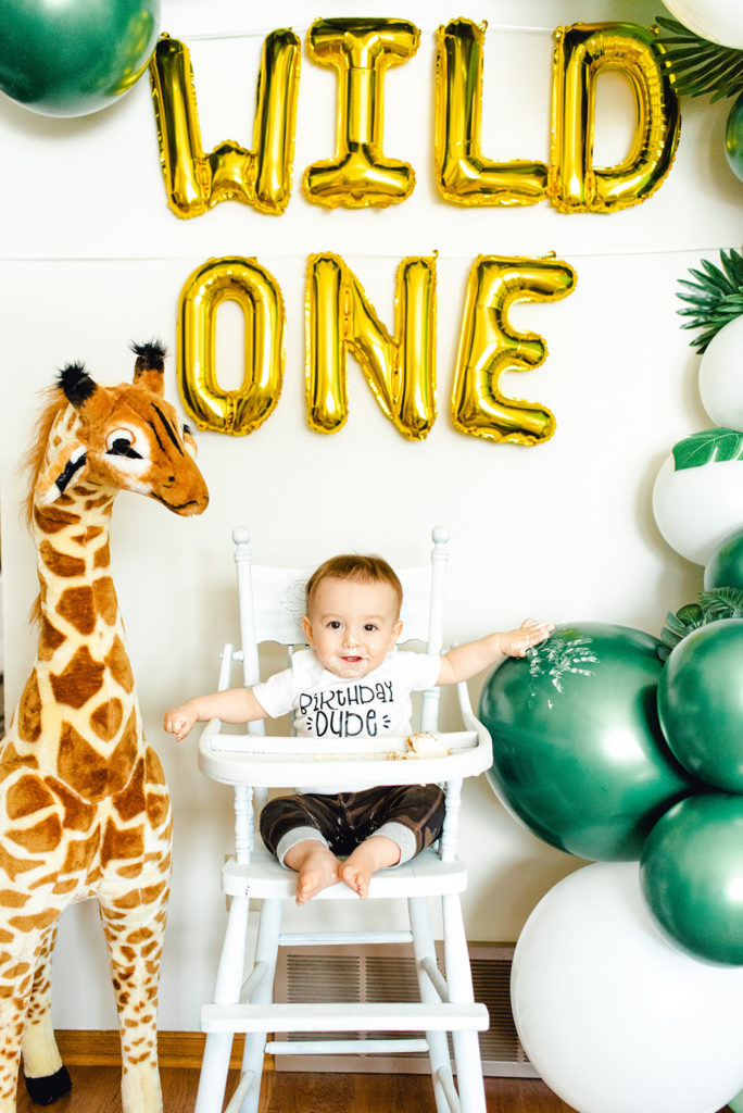 Logan's Wild One Birthday - Project Nursery