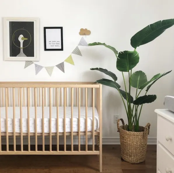Nursery with crib and bird of paradise plant