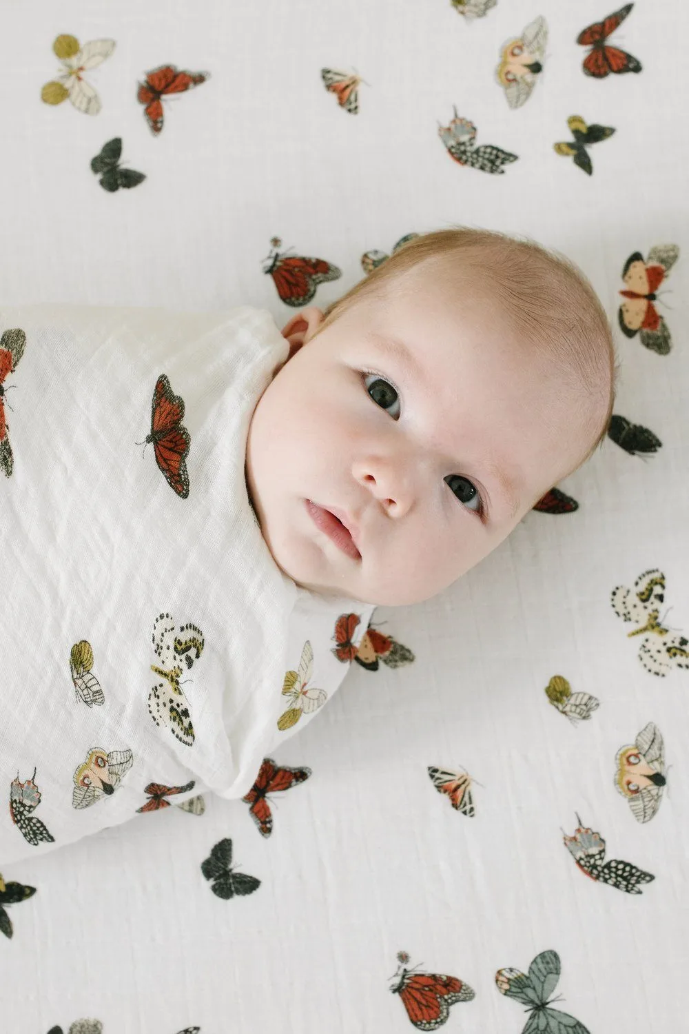 Butterfly Migration Crib Sheet and Swaddle Blanket