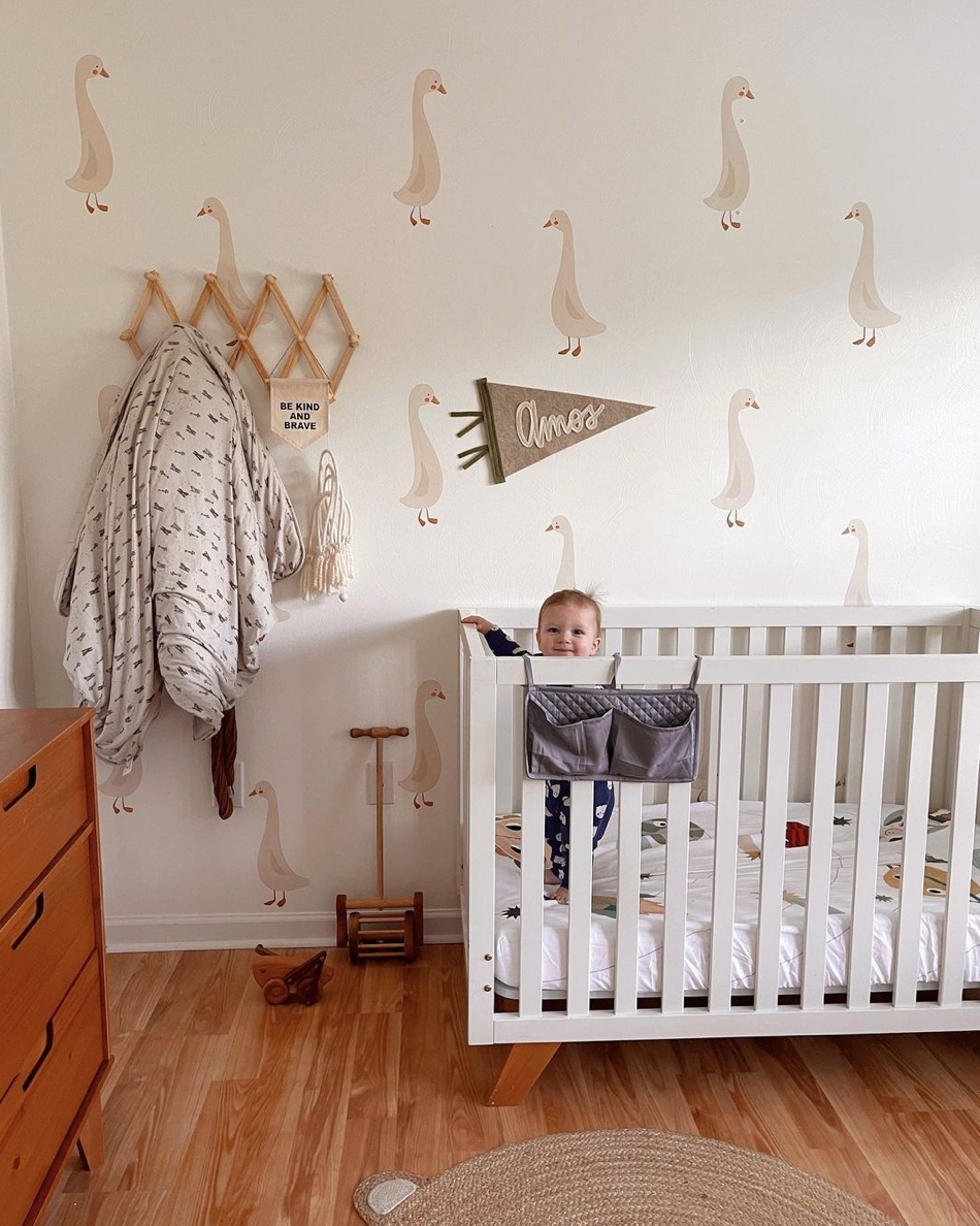 Goose Decals in Boy's Nursery