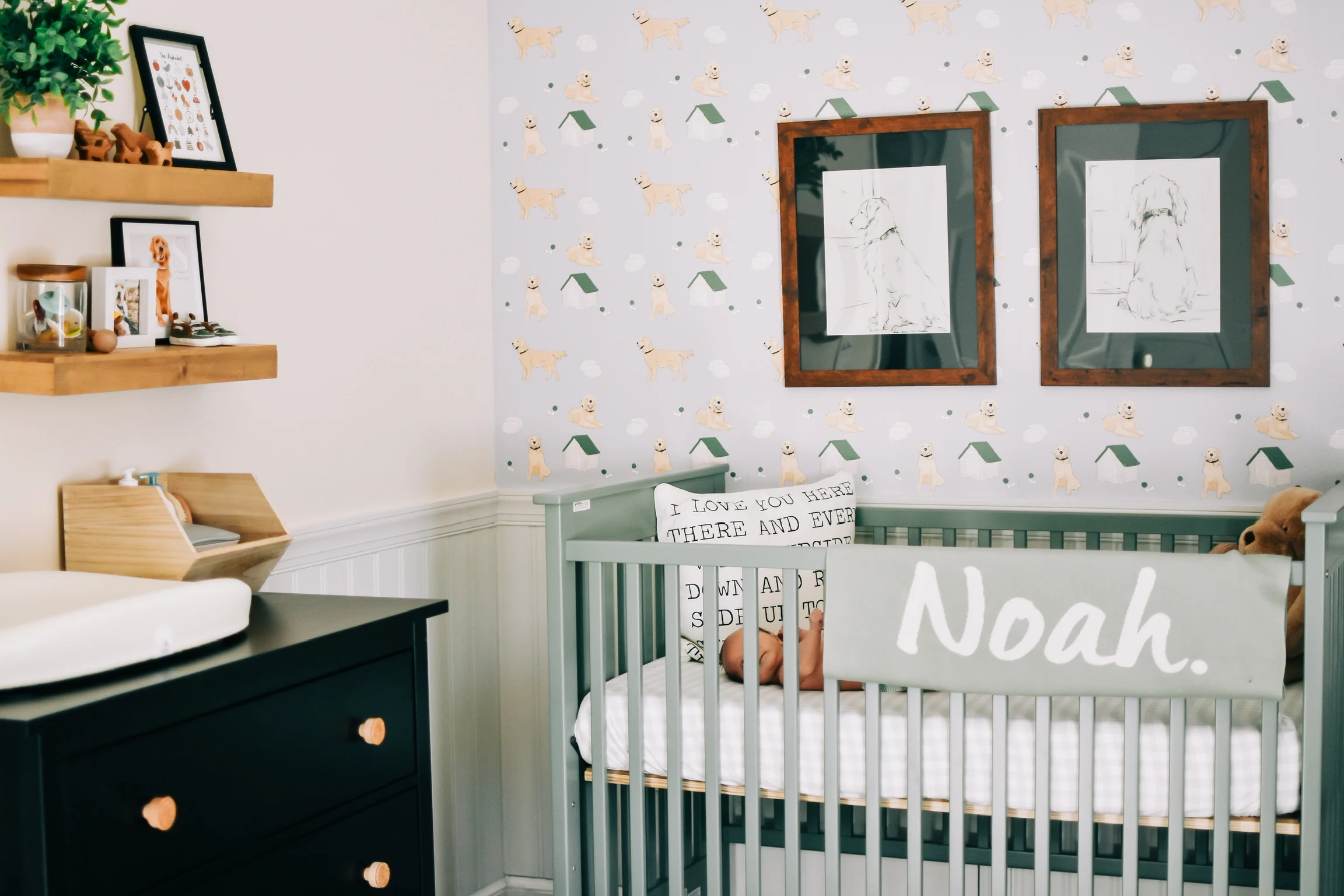 Boy Nursery with Golden Retriever Wallpaper and Art